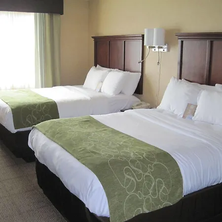 Comfort Suites Columbia - University Area Exterior photo